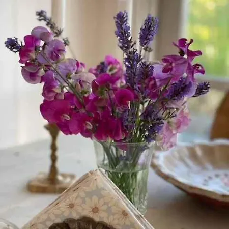 Bright And Cozy Summer On A Secluded Plot بيت للعطل *